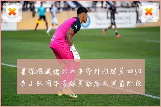 鲁媒报道德尔加多等外租球员回归泰山队国字号球员缺席冬训首阶段