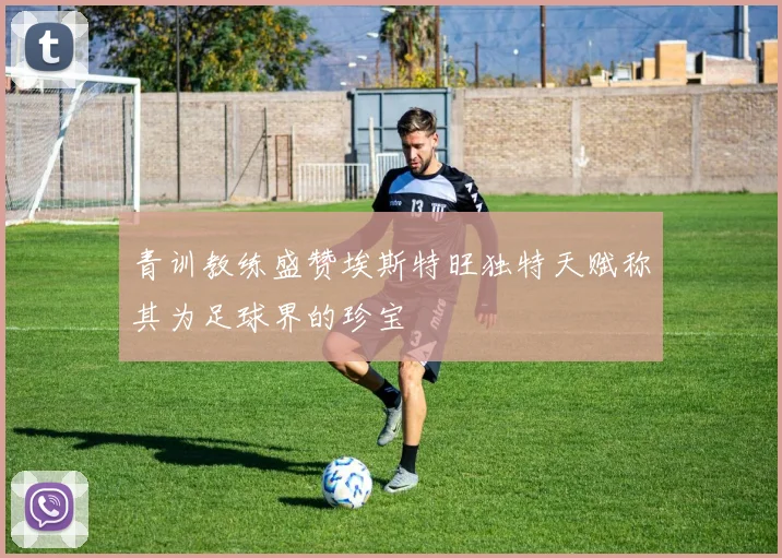 青训教练盛赞埃斯特旺独特天赋称其为足球界的珍宝