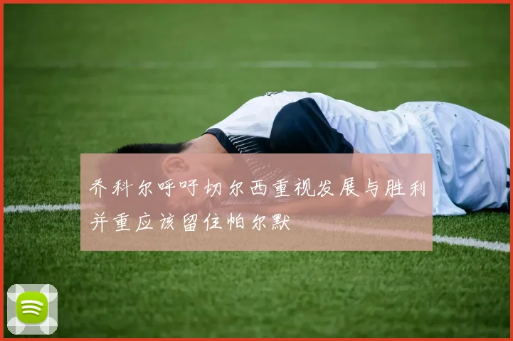 乔科尔呼吁切尔西重视发展与胜利并重应该留住帕尔默