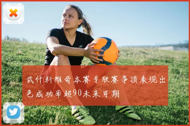 武什科维奇本赛季联赛争顶表现出色成功率超90未来可期